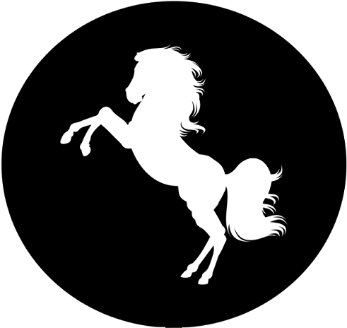 Ruimax Co. Ltd logo